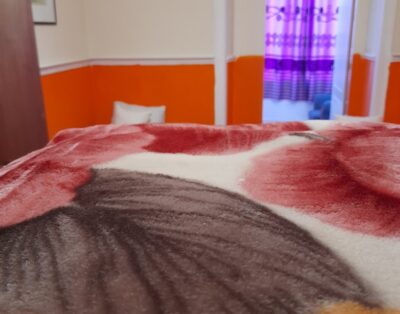 Fortune Guest House
