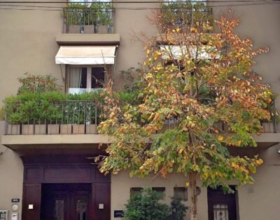 Legado Mítico Buenos Aires