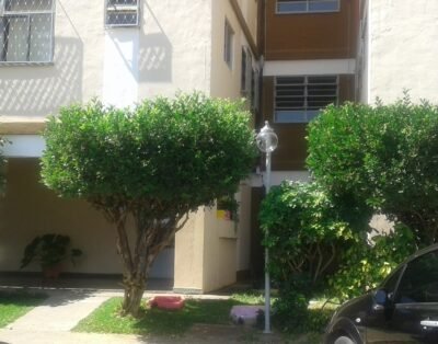 Little hotel Dog City Sophia