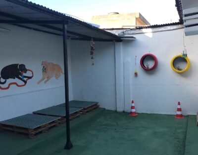Zpet Hotel e Creche