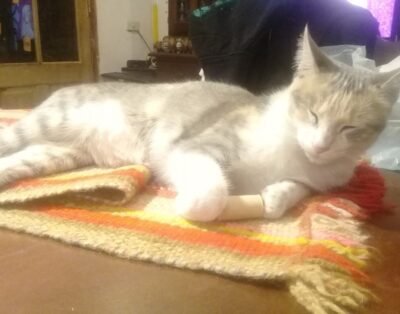 La Guardería de Pichincha