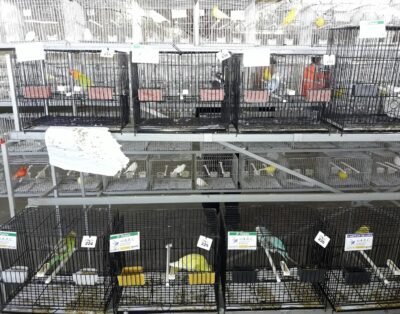 Complejo Ferial Córdoba