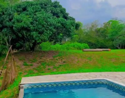 Jardim das Palmeiras