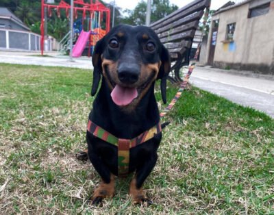 Hotelzinho da Tia Tassi