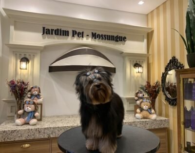 Jardim Pet