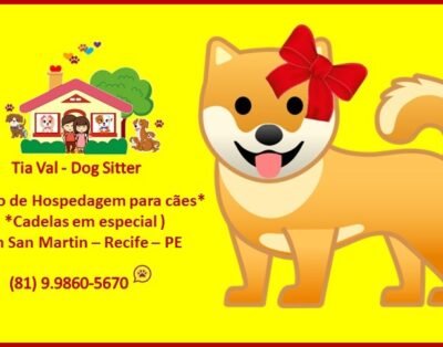 Valquíria e Marcones – Dog Sitters
