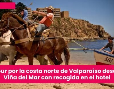 Tour por la costa norte de Valparaíso desde Viña del Mar con recogida en el hotel