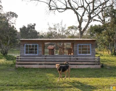 Majuna Proteção Animal