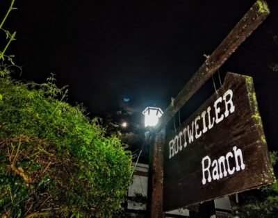 Cabañas Alfar Sol y Mar