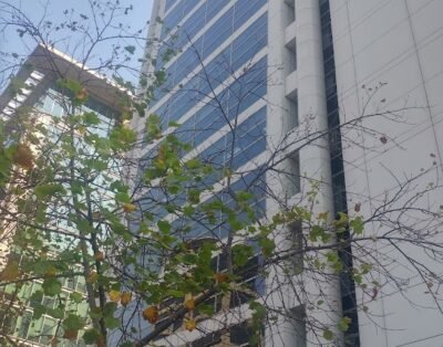 Departamento Por Dia