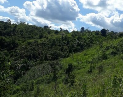 Chacara Paz e Sossego