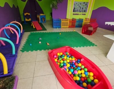 Club da Lola – Creche, Hotel e Estética pet