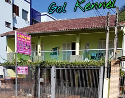 Vitória Hospedagem Pets e Vendas De Bulldog Francês