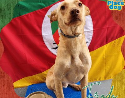 Escola Place Dog – Hospedagem Canina