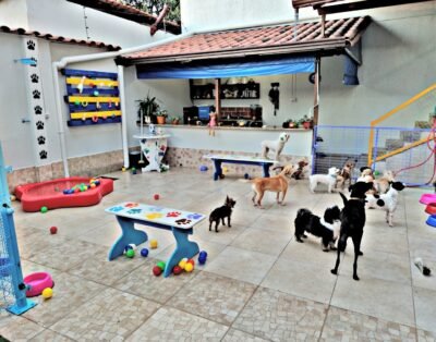ANIMALL – HOTEL E CRECHE PARA CÃES – BANHO E TOSA