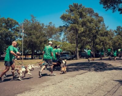 Pinzkoski Adestramento e Hotel Pet