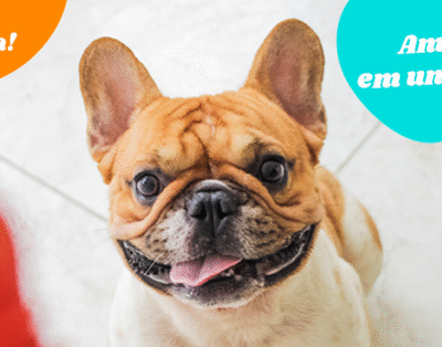 Família de Estimação