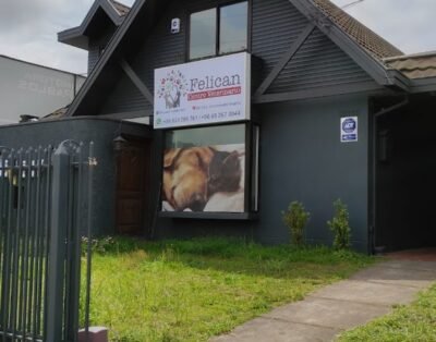 Centro Veterinario Felican