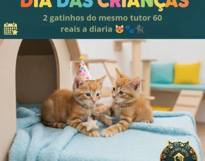 Casa dos Gatos Hotelzinho