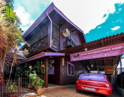 Ayla Flat – Hotel exclusivo para Gatos