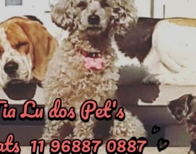 Hotel Tia Lu dos Pet’s Hospedagem Cães
