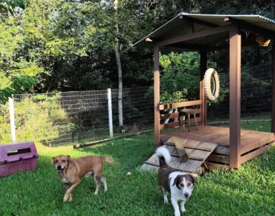 Estância dos Bichos