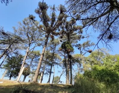 Insumos • Jabon de hotel “Amenities” • Hoteles Urquiza