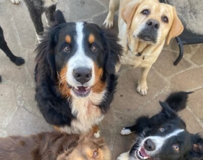 Casa do Bongo: Mais que uma hospedagem, uma experiência educativa