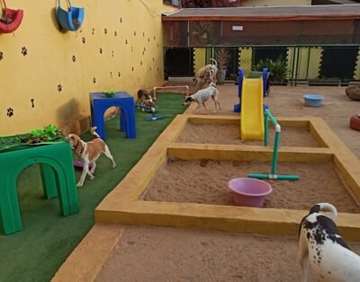 Tio Edy Creche Hotel | Daycare | Betânia