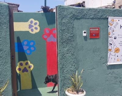 Colegio Pet Bahia – Hotel Pet, Creche e Centro de Adestramento