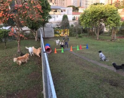 Cachorrolândia Água Verde