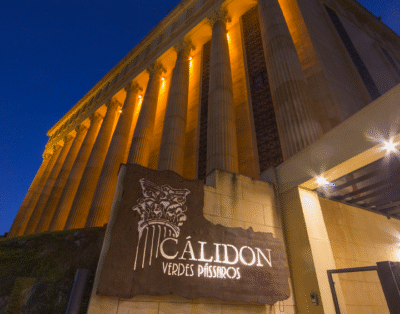 Motel Calydon Green Birds