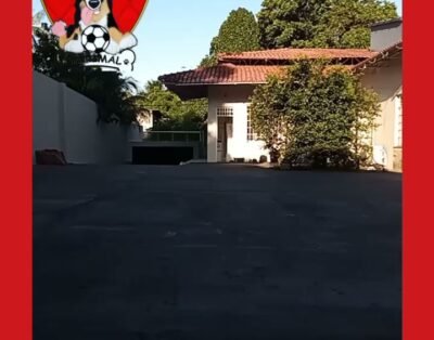 YANIMAL DOG SHOW – Escola para Cães – adestramento de cães em manaus.