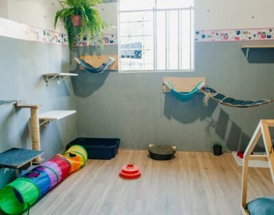 Miss Pet Hotel Curitiba