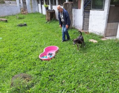 Sitio Encantado, hotel para pets