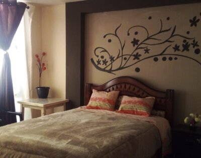 Hotel Hostal Alojamiento Hospedaje ALBA