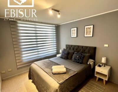 EBISUR Apart – Hoteles MAIPU