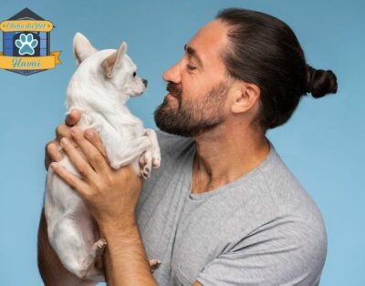 Hotel e Creche Clube do Pet Havaí