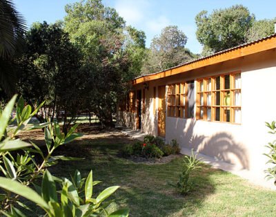 Hostal el arbol beach