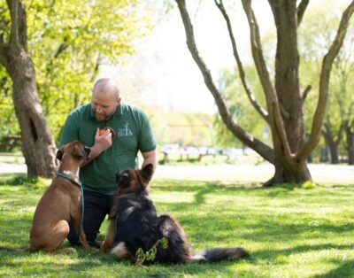 Bark & Birch Brasil – Adestramento, Day Care e Hotel