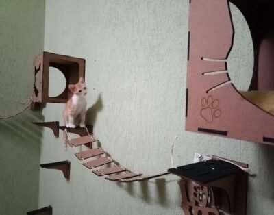 Gavião Hotelzinho Pet