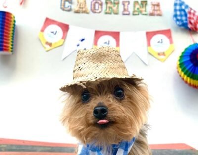 Cãorinhosa Hospedagem e Serviços Veterinários