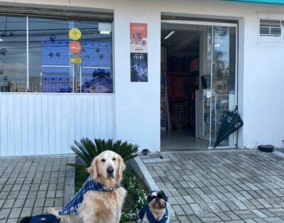 Pet Shop Bicho Alegre – Bairro Alto