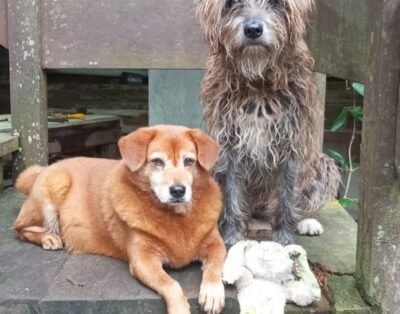 Toca do morcego Porto Alegre