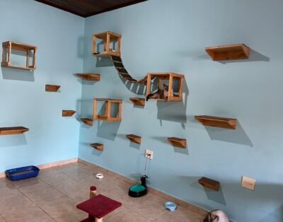 Sala das Gatas Hospedagem Exclusiva para Gatos Manaus