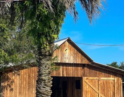 Hotelaria do Neguinho