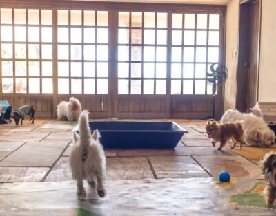 Pet Hotel Pampulha