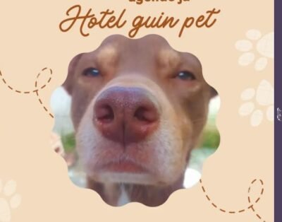 HOTEL GUIN PET