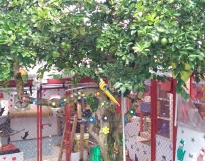 Pousada Aristogatos o hotel do seu gato