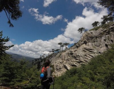 Hostal Volcanes del Sur